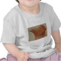 brownbreasts t shirts