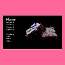 Brownie Business Cards business cards