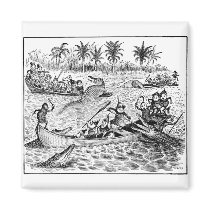 Brownies Fighting Alligators magnets
