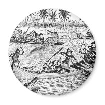 Brownies Fighting Alligators magnets