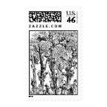 Brownies picking apples in orchard postage