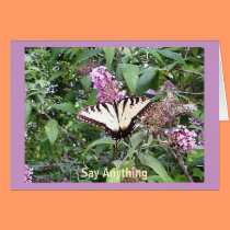 Browsing Butterfly Card