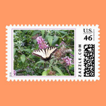 Browsing Butterfly Postage postage