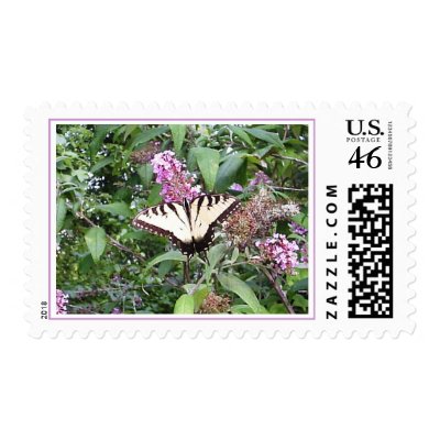 Browsing Butterfly Postage by TagGal