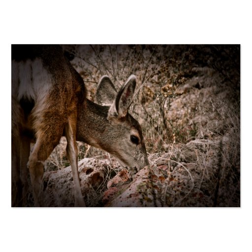 Browsing Deer Wildlife Business Card (front side)