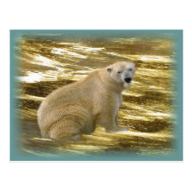 Brrr.....Postcard