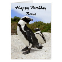 Bruce Happy Birthday African Penguins Humor Card