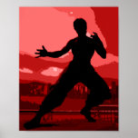 Bruce Lee Poster posters