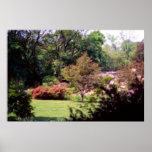 Bruce Park, Greenwich, CT Print