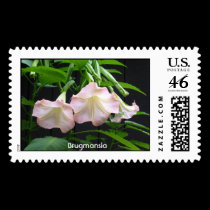Brugmansia postage by FaunaArt Brugmansia postage