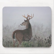 Bruiser mousepads