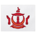 Brunei Coat of Arms flyers