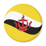 Brunei Fisheye Flag Magnet
