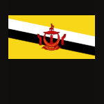 Brunei Flag Map Spaghetti Top