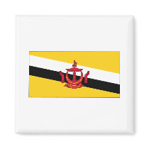 Brunei FLAG International magnets by flagshirt Brunei FLAG International magnets