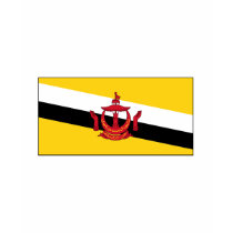 Brunei FLAG International t-shirts by flagshirt Brunei FLAG International t-shirts