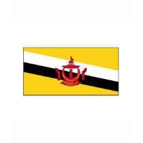 Brunei FLAG International t-shirts by flagshirt Brunei FLAG International t-shirts