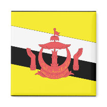 Brunei Flag Fridge Magnets