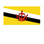 Brunei Flag Map Spaghetti Top