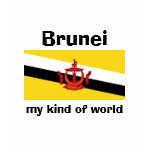 Brunei Flag Map Text Ladies Baby Doll