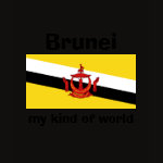 Brunei Flag Map Text Ladies Baby Doll