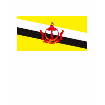 Brunei T-shirt by FlagTshirts Brunei T-shirt