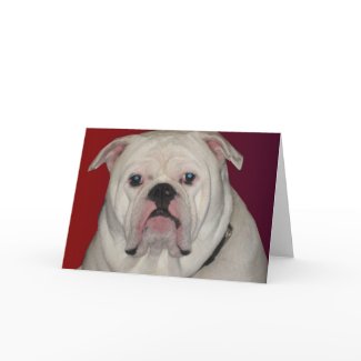 Bruno Greeting Card card