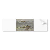 Bruno Liljefors - Eiders in the Islet 1937 Goose Bumper Sticker