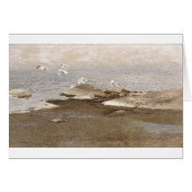 Bruno Liljefors - Gulls @ Beach 1909 Sea Seagull Cards