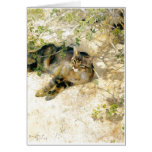 Bruno Liljefors - Sleeping Jeppe 1886  Cat Kitten Greeting Card