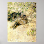 Bruno Liljefors - Sleeping Jeppe 1886  Cat Kitten Poster