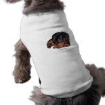 Bruno's Pet Clothing pet clothing