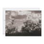 Brush Backlight (AZ Desert) Sepia Invitation