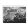 Brush Backlight (AZ Sonoran Desert) Invite