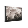 Brush Backlight Canvas (AZ Sonoran Desert) Gallery Wrap Canvas