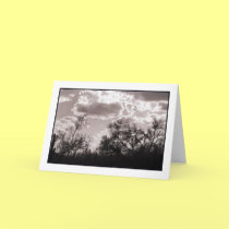 Brush Backlight Greeting Card cards