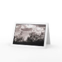 Brush Backlight Greeting Card