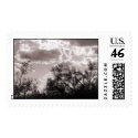 Brush Backlight Stamp