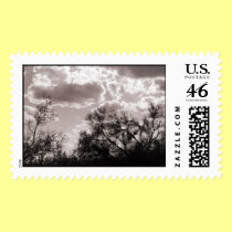 Brush Backlight Stamp stamps