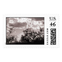 Brush Backlight Stamp