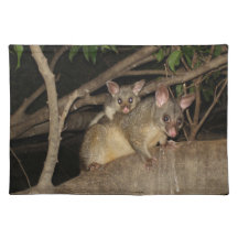 Brushtail Possums Place Mats