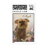 Brussel Griffon  Postage postage