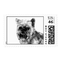 Brussels Griffon Postage Stamp