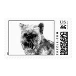Brussels Griffon postage