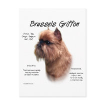 Brussels Griffon (rough) History Design Post Cards