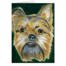 Brussels Griffon - Sigmund cards by dogportraitsbymel Brussels Griffon - Sigmund cards