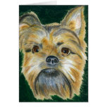 Brussels Griffon - Sigmund Greeting Cards