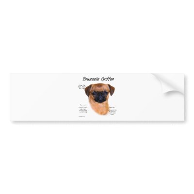 Brussels Griffon (smooth) History Design Bumper Sticker by GreyWolfCreation