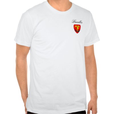 BRUXELLES (BRUSSELS) T SHIRTS by TravisTeel