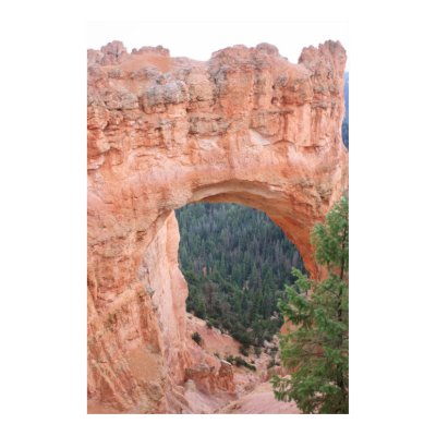 Bryce Canyon, Arch Poster by Barnabas7